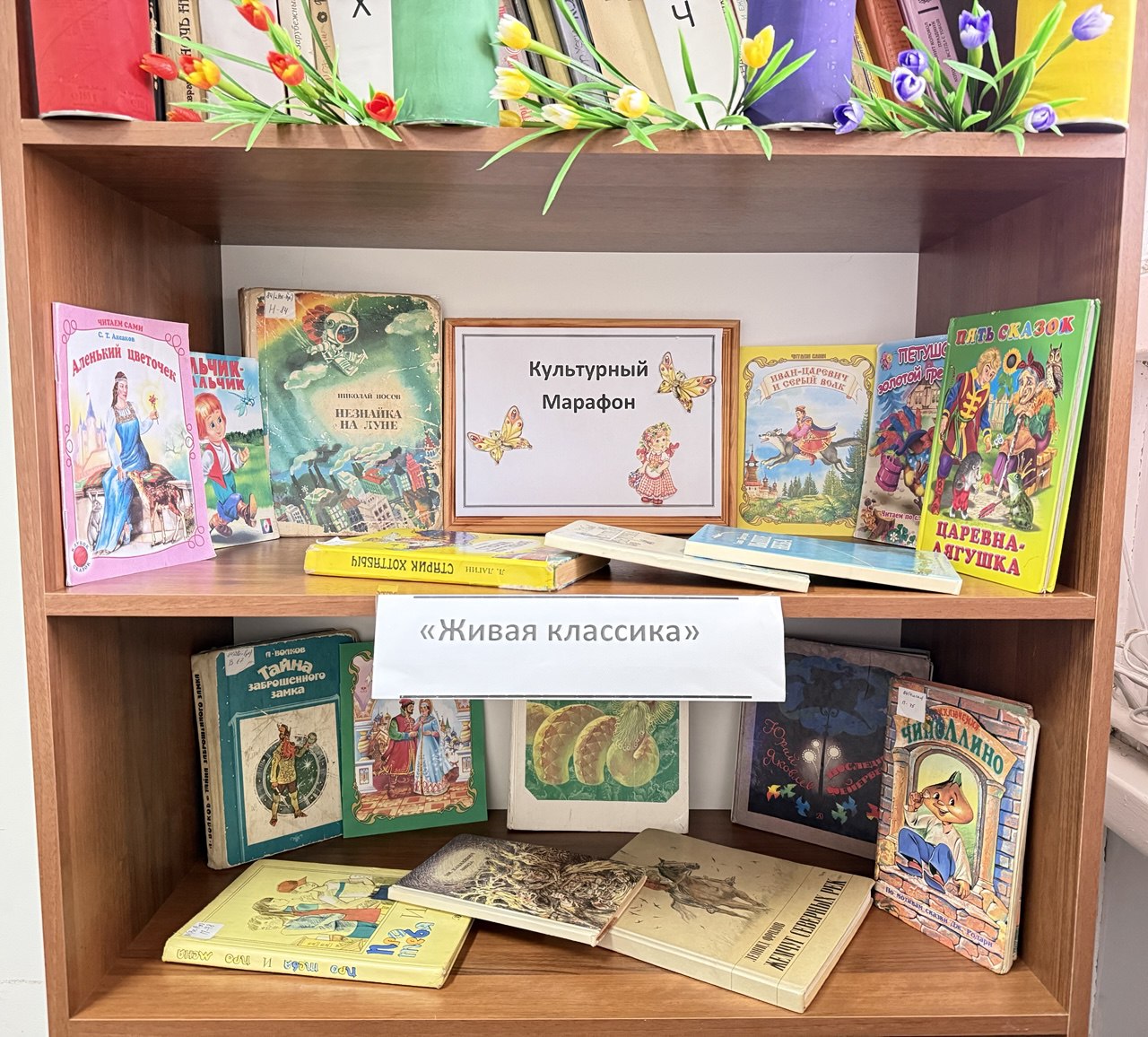 Книжная выставка «Живая классика»