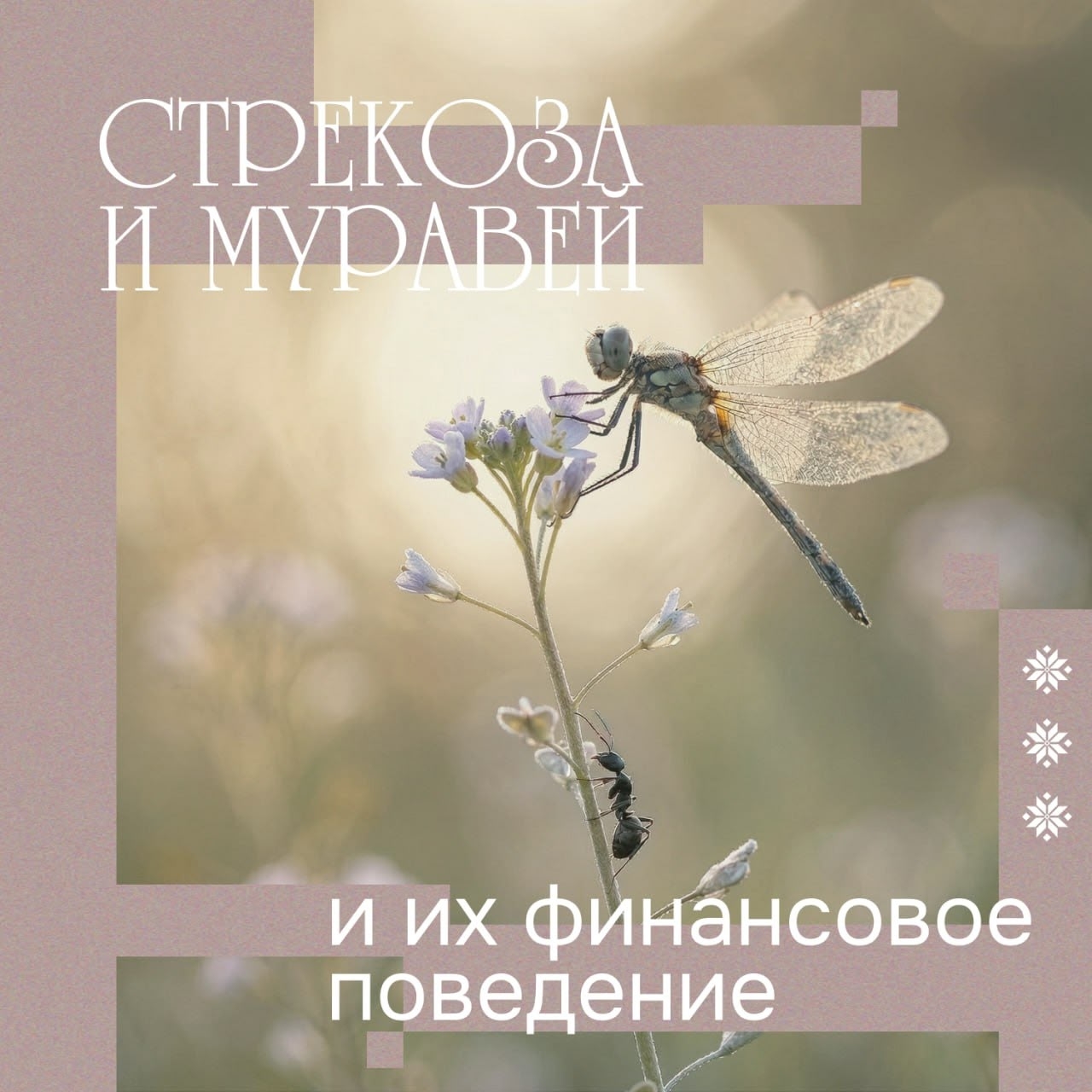 Брать от жизни все или держать бюджет в муравьиных ежовых рукавицах?
