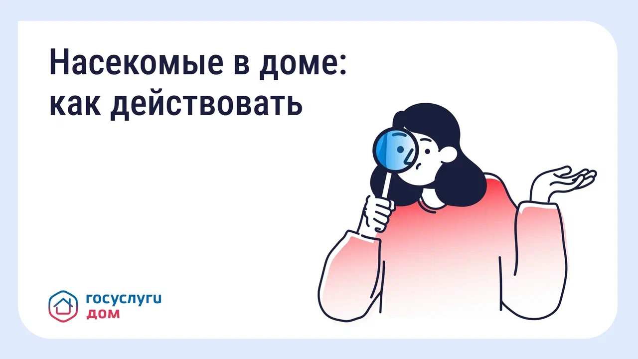 Борьба с насекомыми в многоквартирном доме