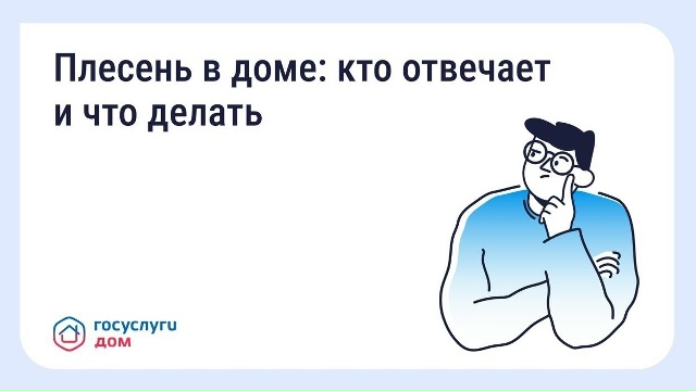 Что делать, если в квартире появилась плесень?